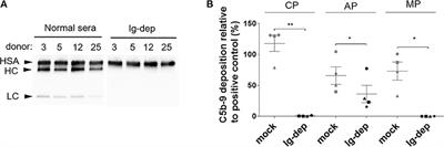 A New Tool for Complement Research: In vitro Reconstituted Human Classical Complement Pathway